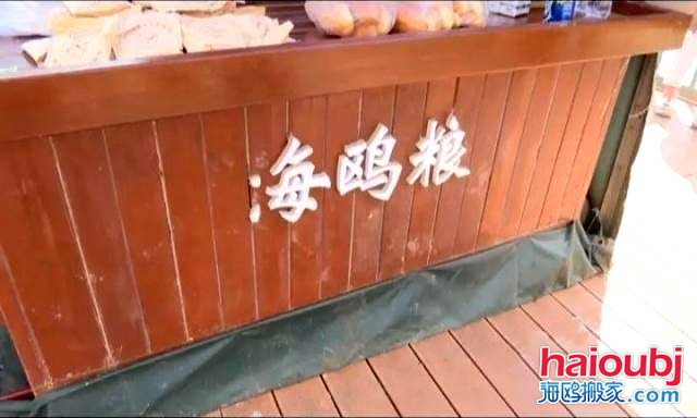 昆明海鷗搬家稱一老板返鄉(xiāng)探病，留下鷗糧供游客投喂結果出乎意料.jpg